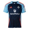 Hamburger SV Special 2024-25 - Herre Fotballdrakt